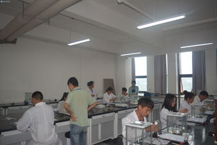 輕工化工系工業(yè)分析與檢驗(yàn)技能大賽決賽圓滿落幕，展現(xiàn)生物化工產(chǎn)品技術(shù)研發(fā)新風(fēng)采